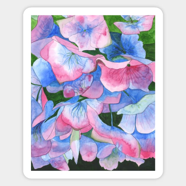 Pink and blue hydrangea watercolour painting Sticker by esvb